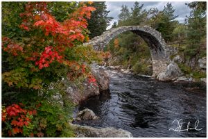 Photo capturing a Nature scene | Guelph Photographers Guild