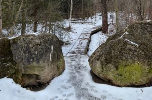 Photo capturing a Nature scene | Guelph Photographers Guild