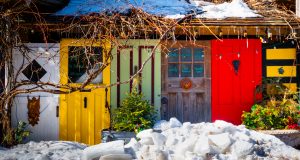 Photo capturing a Nature scene | Guelph Photographers Guild