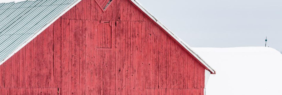 Photo capturing a landscape scene in Ontario | Guelph Photographers Guild