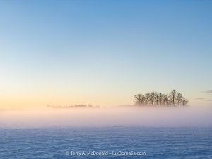 Photo capturing a Nature scene | Guelph Photographers Guild