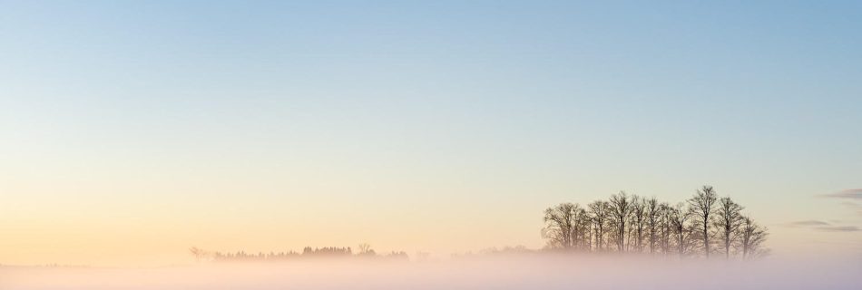Photo capturing a Nature scene | Guelph Photographers Guild