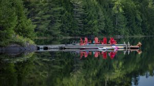 Photo capturing a Nature scene | Guelph Photographers Guild