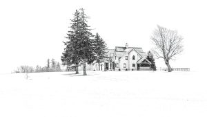 Photo capturing a landscape scene in Black & White | Guelph Photographers Guild