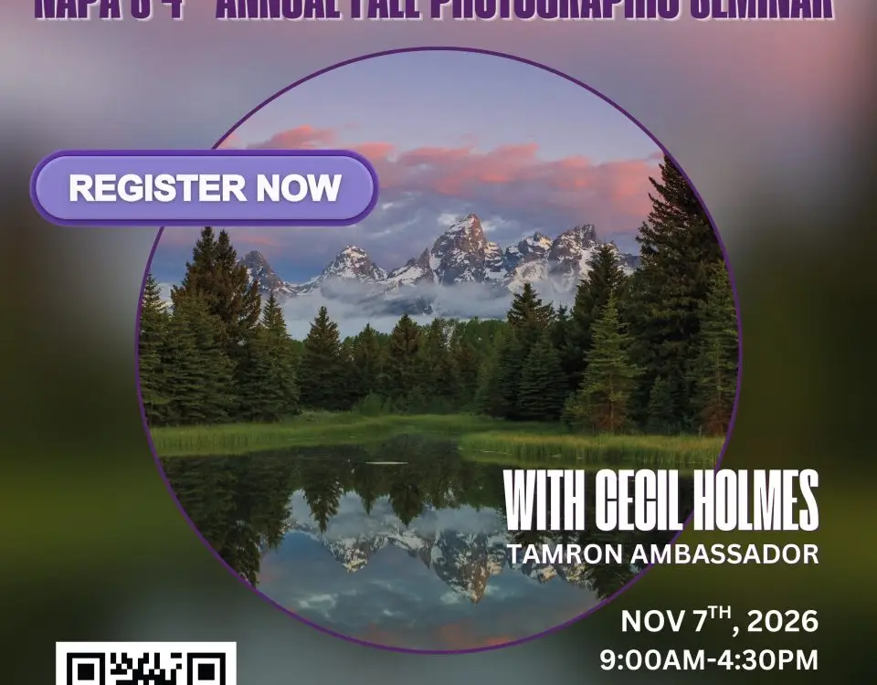 Nature in Focus, featuring Tamron Ambassador Cecil Holmes.