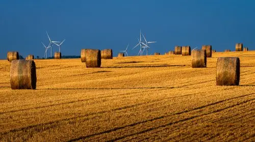 Round hay bales in a golden harvested field with wind turbines on the horizon beneath a deep blue sky.