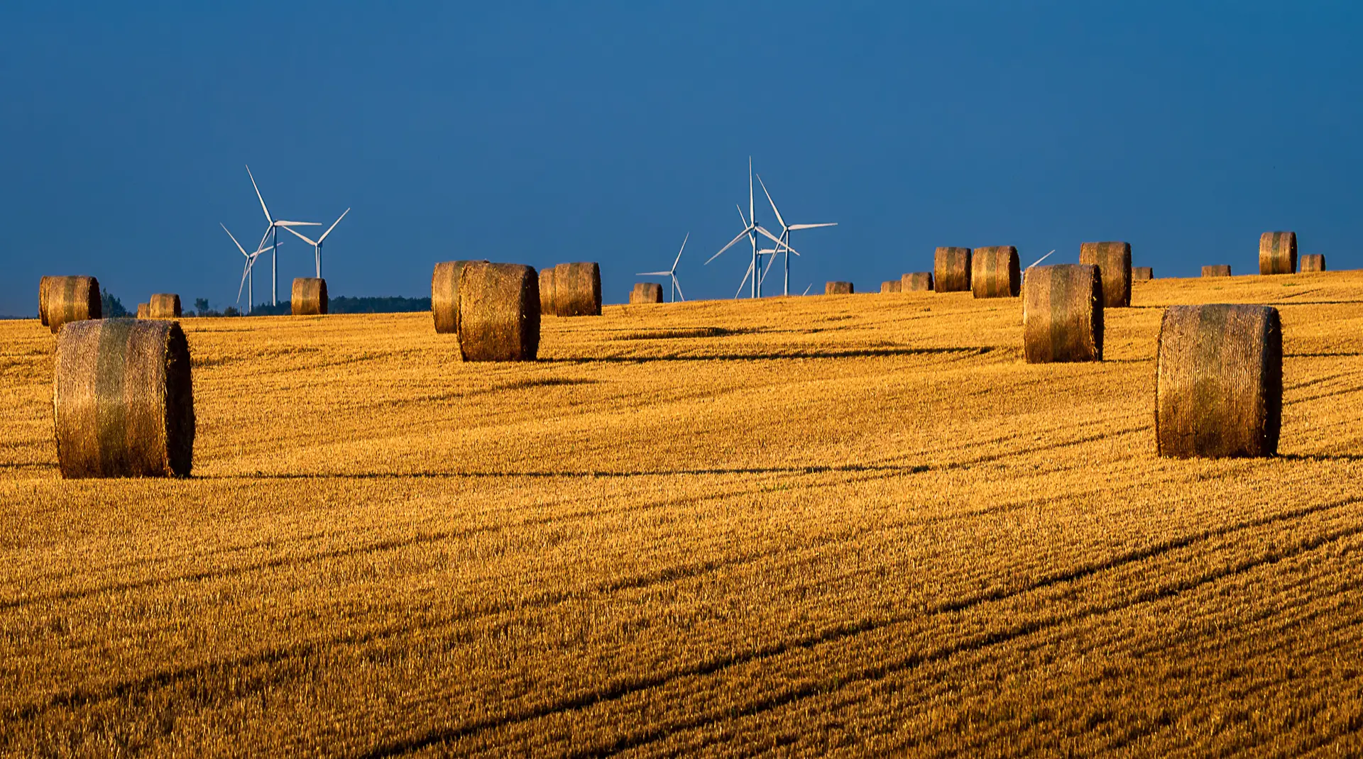 Round hay bales in a golden harvested field with wind turbines on the horizon beneath a deep blue sky.